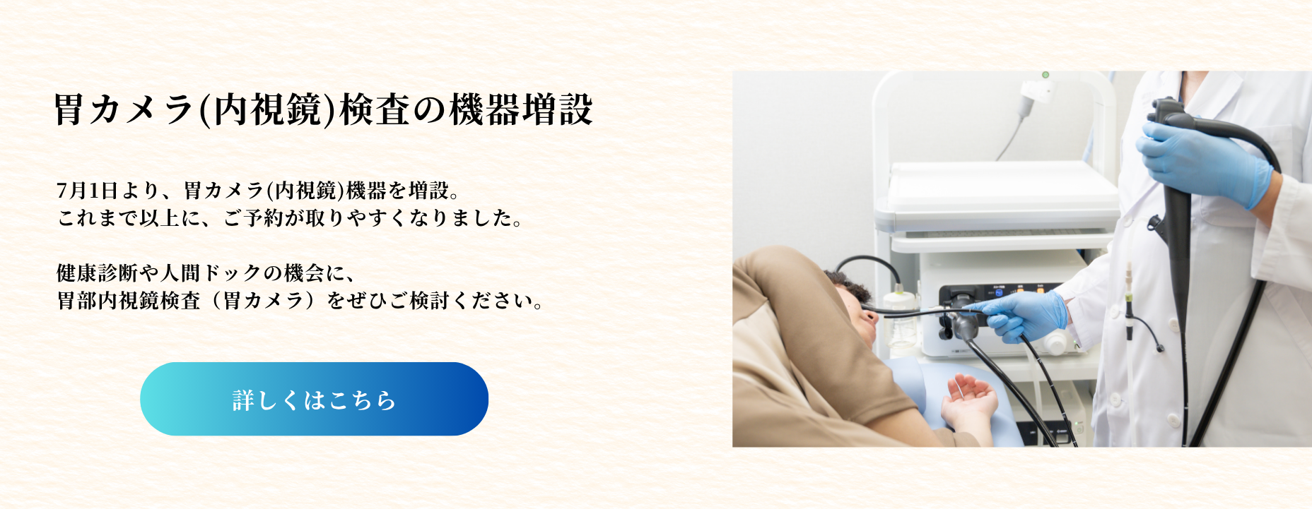 胃部内視鏡検査（胃カメラ）